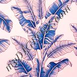 Colour:J