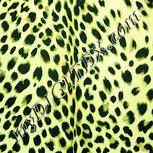 Colour:K