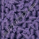 Colour:F