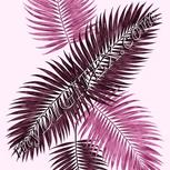Colour:B