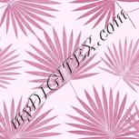Colour:B