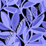 Colour:F