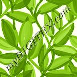 Colour:K