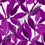 Colour:B
