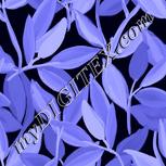 Colour:F