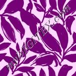 Colour:B