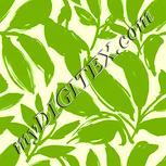 Colour:K