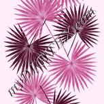 Colour:B