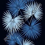 Colour:F