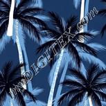 Colour:F