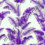 Colour:D