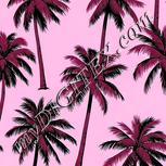 Colour:B
