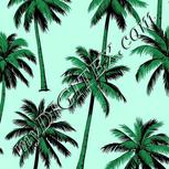 Colour:C