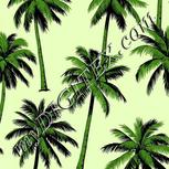 Colour:D