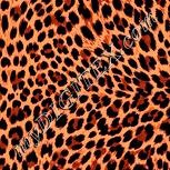 Colour:J