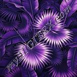 Colour:B