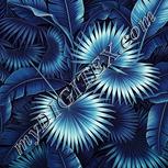 Colour:C