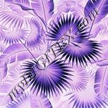 Colour:F