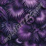 Colour:B