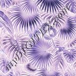 Colour:F