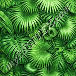 Colour:K
