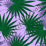 Colour:C