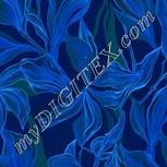 Colour:F