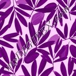 Colour:B