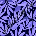 Colour:F