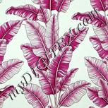 Colour:C