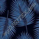 Colour:F