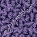 Colour:F