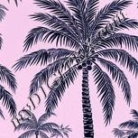 Colour:F