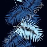 Colour:F