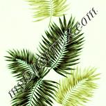 Colour:K