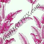 Colour:C