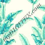 Colour:K