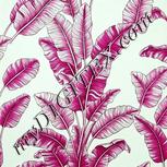 Colour:C