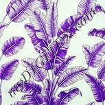 Colour:D