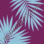 Colour:F