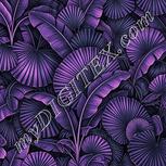 Colour:B