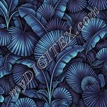 Colour:C
