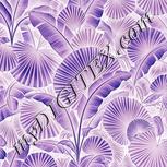 Colour:F