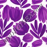Colour:B