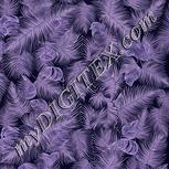 Colour:F