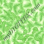 Colour:K