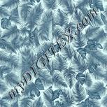 Colour:C