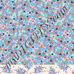 Colour:F