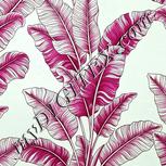 Colour:C