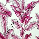 Colour:C